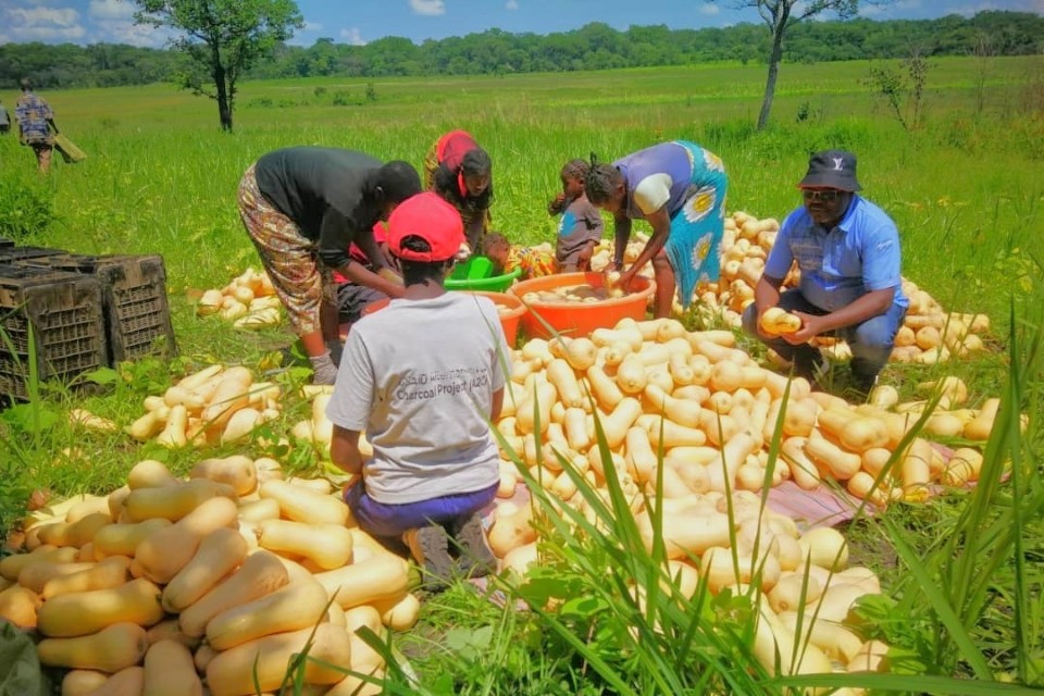 Charcoal producers turn to new livelihoods